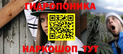 молекула духа Заволжье