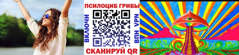 KRAKEN как зайти  Муравленко  Галлюциногенные грибы Magic Shrooms  наркошоп 