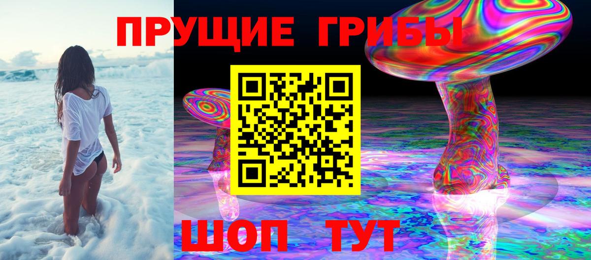 Псилоцибиновые грибы MAGIC MUSHROOMS  Вход с VPN  Муравленко 